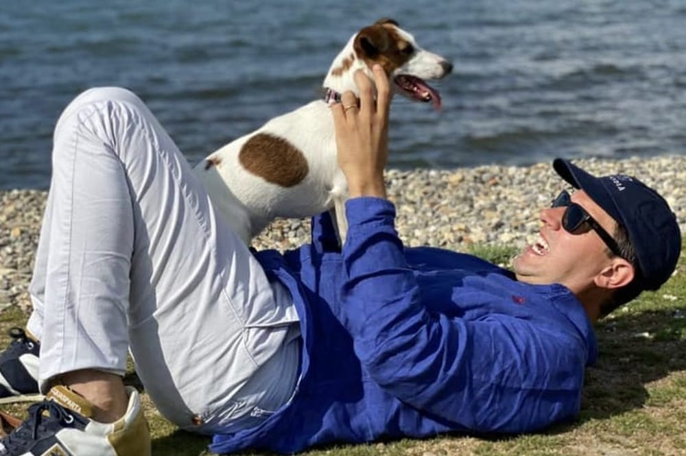 Animali domestici, via libera dall’Europa: microchip obbligatorio e identità digitale per cani e gatti. Nardella (PD) : "Risultato importante"