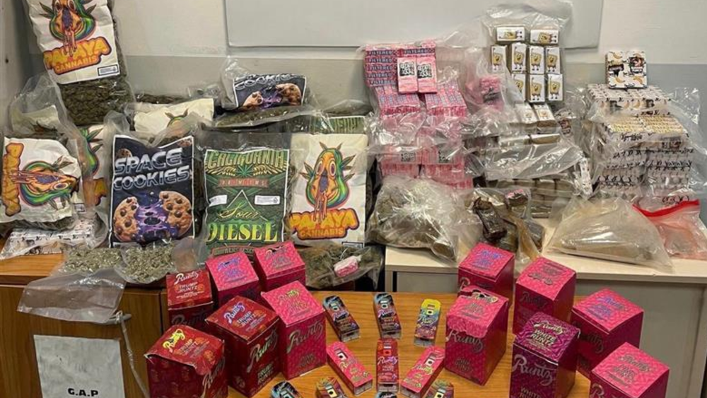 Roma, oltre 40 kg di droga e 50mila euro sequestrati a Portuense