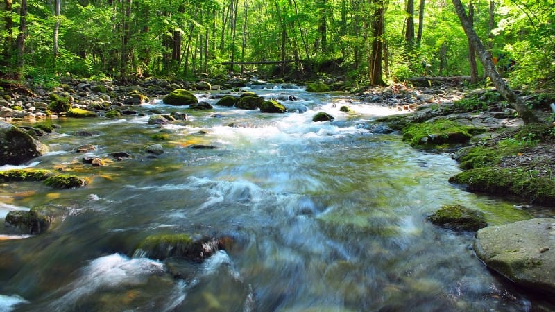 Europa unita per l’acqua: nasce l’Alleanza per la resilienza idrica