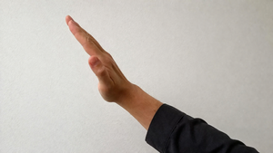 Acca Larentia: prosciolti 29 militanti. "Saluto romano illecito, ma senza pericolo riorganizzazione fascista non è reato"